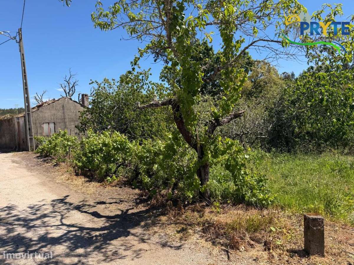 Terreno parcialmente dentro do perímetro urbano da aldeia - Grande imagem: 3/12