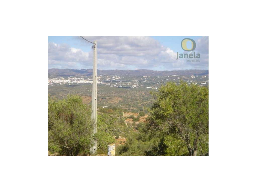 Terreno com bons acessos - Grande imagem: 3/4