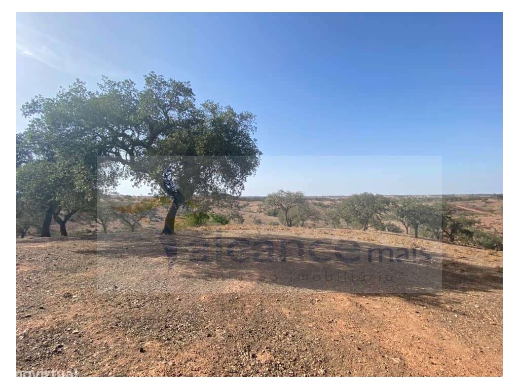 Propriedade de 35 ha - com Monte em Ruínas em Serpa-12