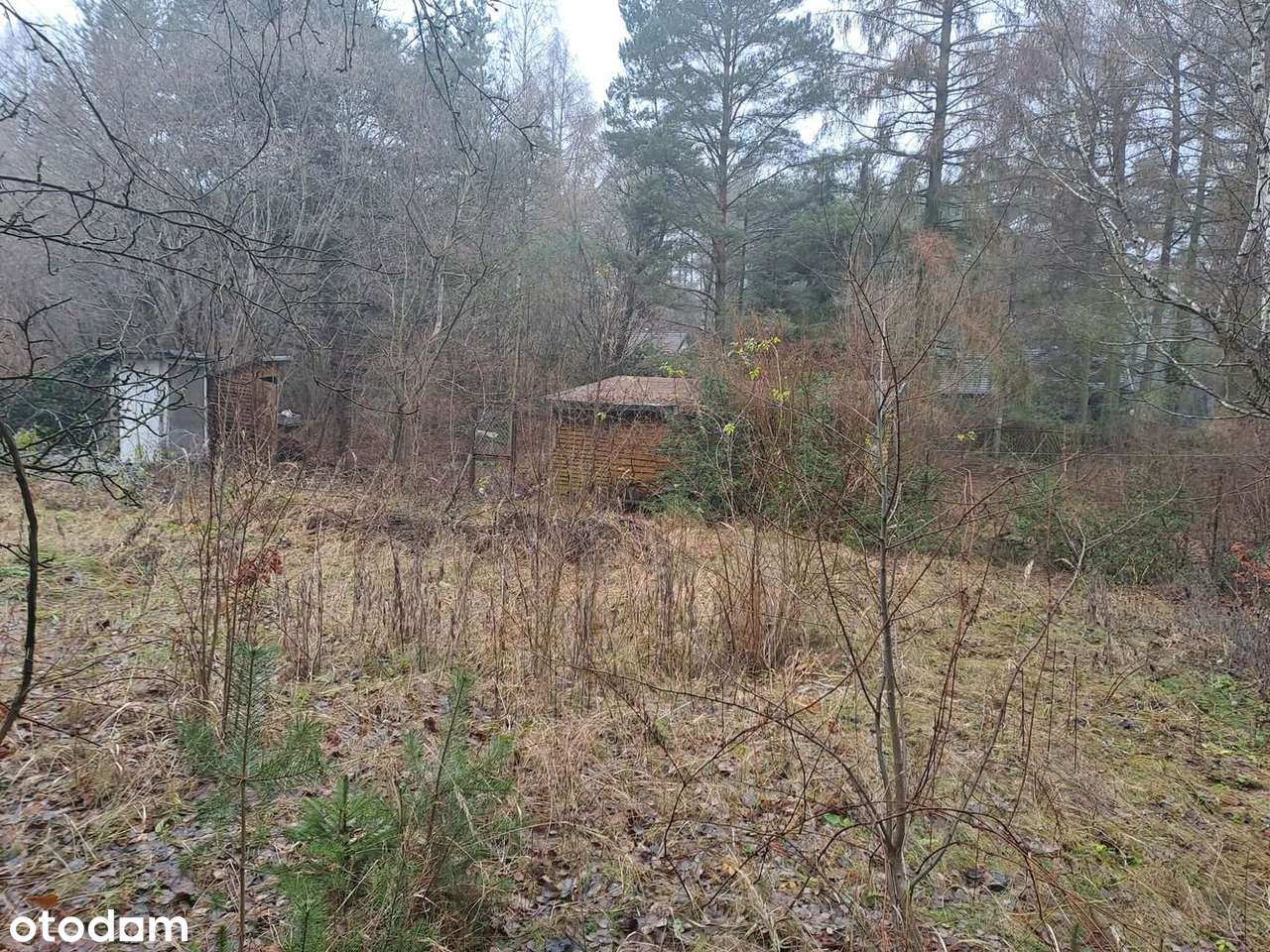Działka w Zofiówce, idealna na wypoczynek blisko Łodzi - Pełny obrazek: 3/9