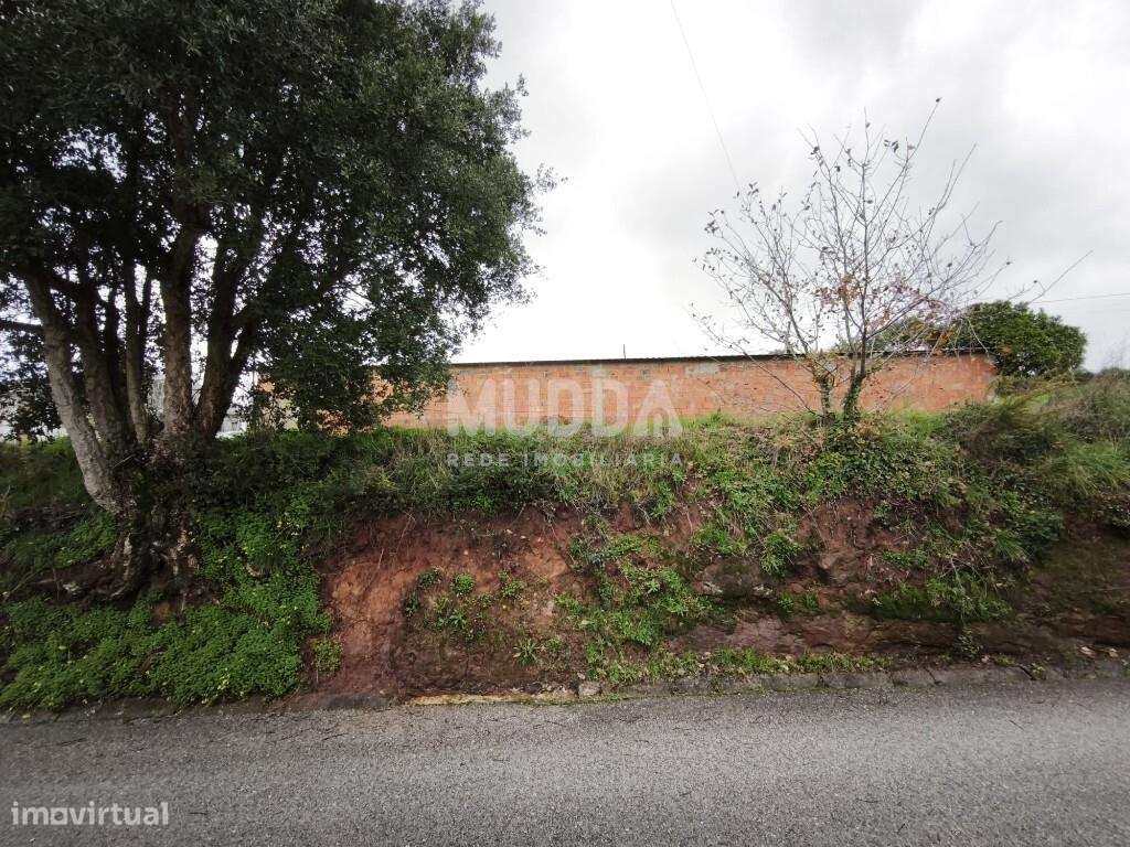 Terreno rústico com excelente potencial construtivo em Frossos – Alber - Grande imagem: 2/6