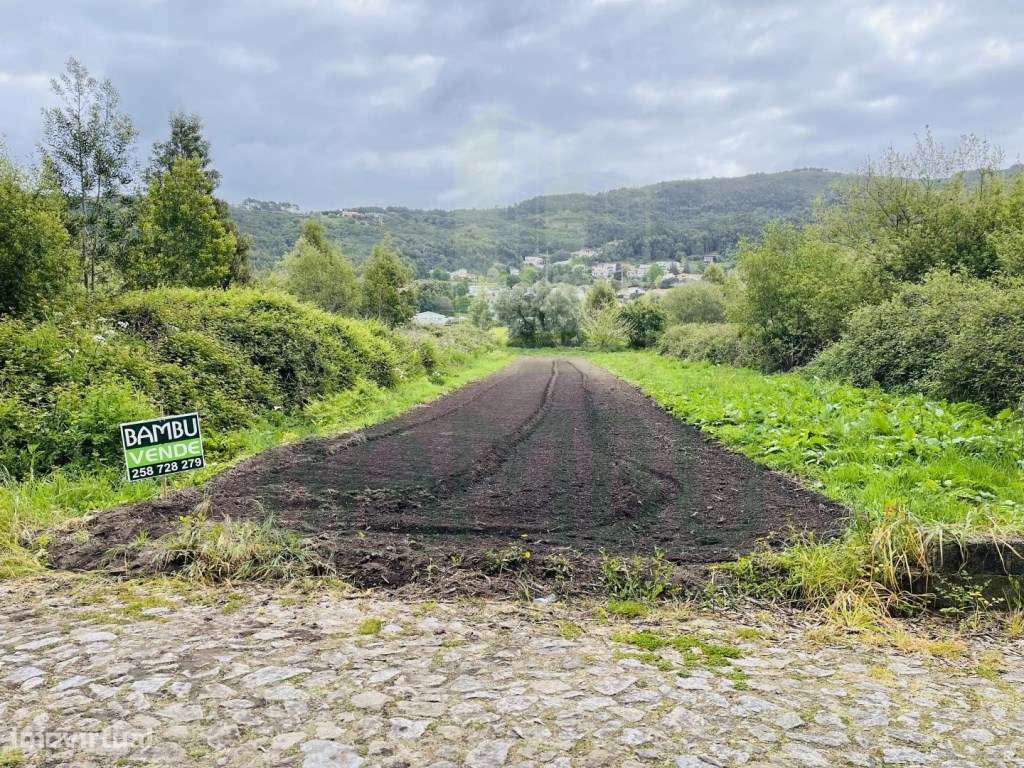 Terreno Agrícola para Venda - Grande imagem: 2/6