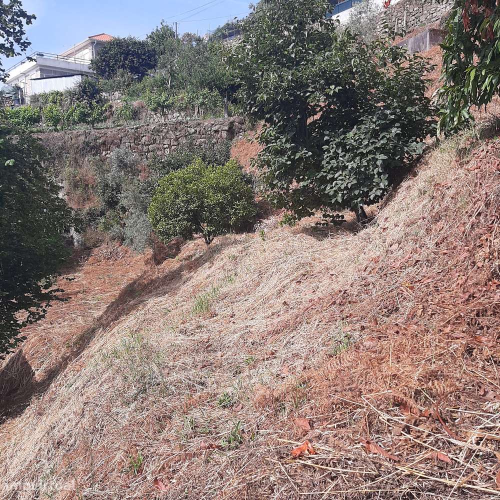 Casa em pedra para reconstruir Canelas Penafiel-40
