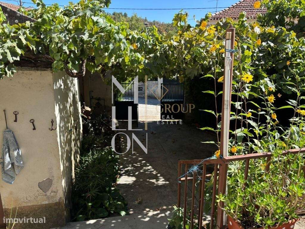 Quinta com 10 hectares — Tranquilidade, potencial e múltiplas valência-10