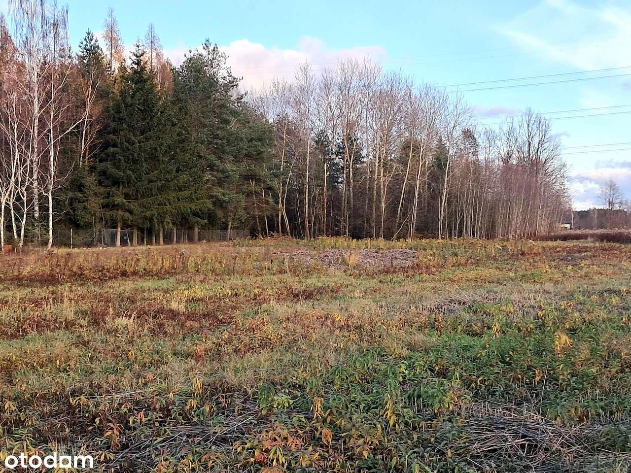 DZIAŁKA BUDOWLANA/Wola Karczewska/3500 m²/Warunki zabudowy na dwa domy - Pełny obrazek: 4/10