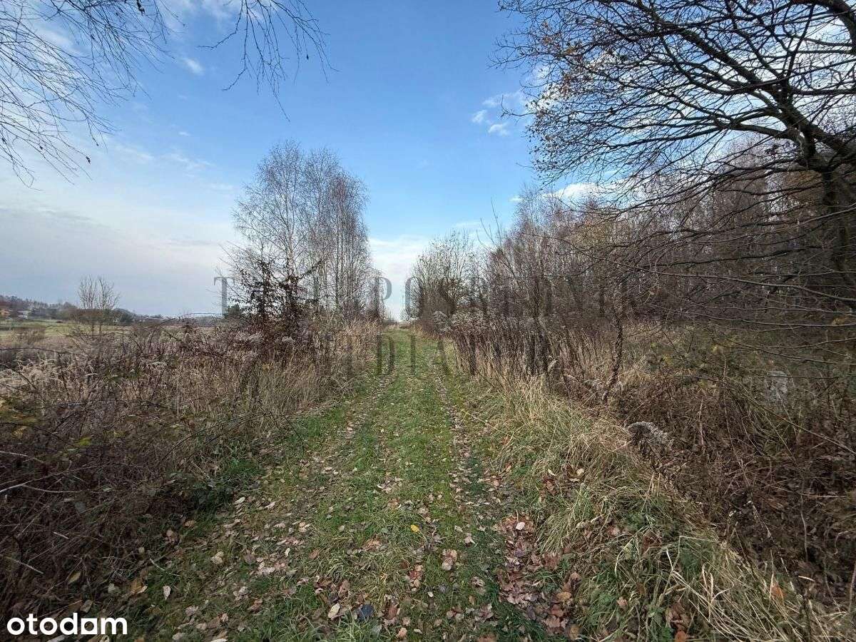 Działka rolna cena do ustalenia - Czernica-12