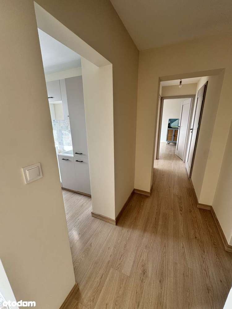 3 pokojowe, przestronne, dla rodziny, po generalnym remoncie, centrum - Pełny obrazek: 5/14