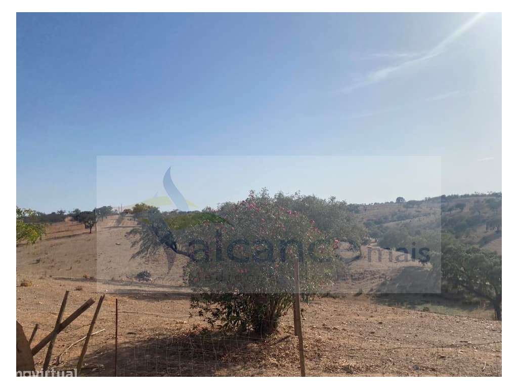 Propriedade de 35 ha - com Monte em Ruínas em Serpa-5