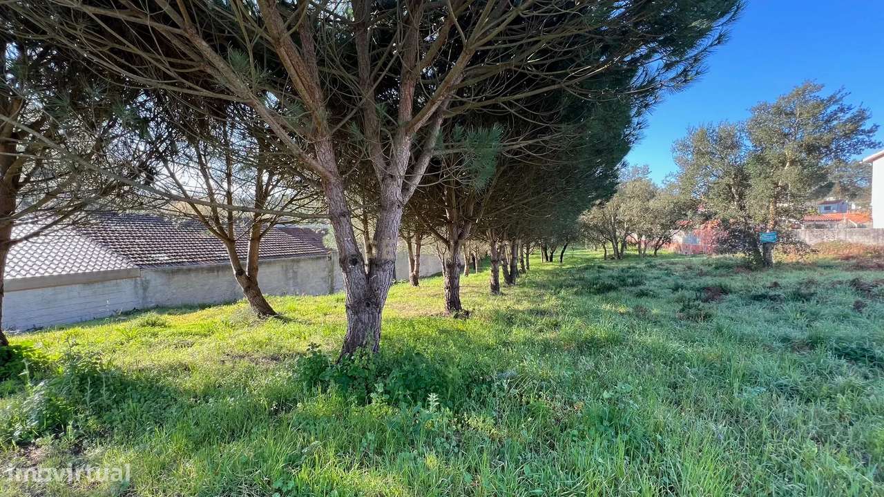 TERRENO RUSTICO - URBANIZAVEL - Grande imagem: 5/8