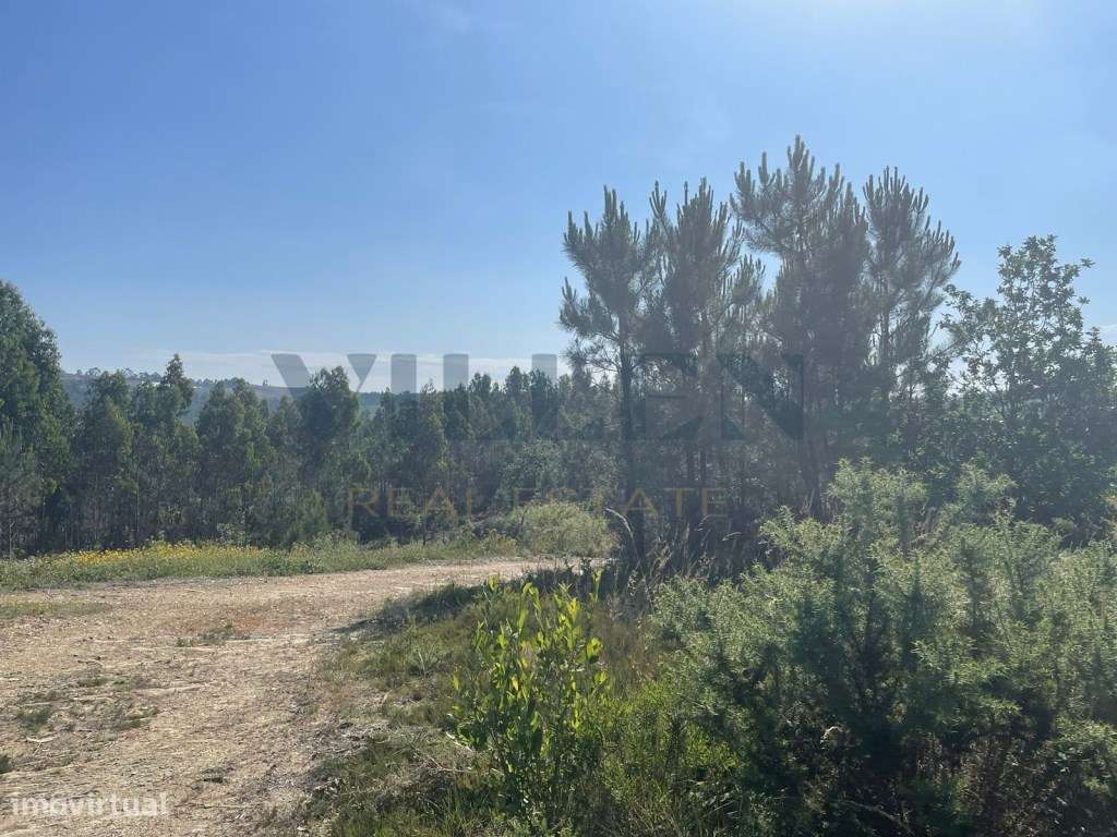 Terreno para construção em Fradelos - Vila Nova de Famalicão - Grande imagem: 4/11