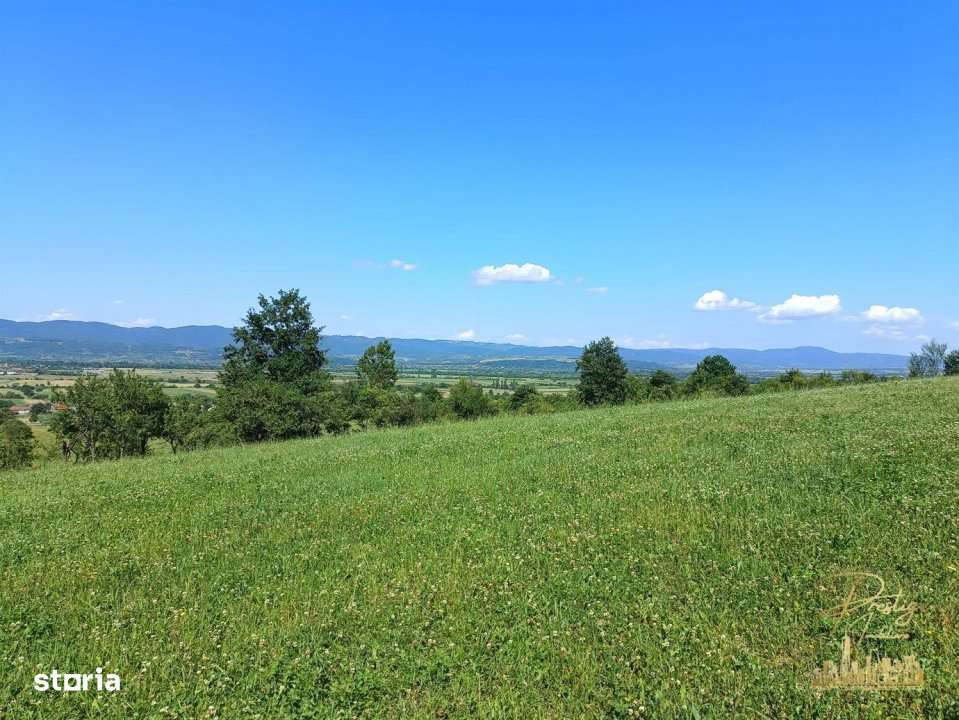 Teren extravilan 9093 mp de vanzare in Josani, com. Magesti - Bihor - Imagine principală: 4/8