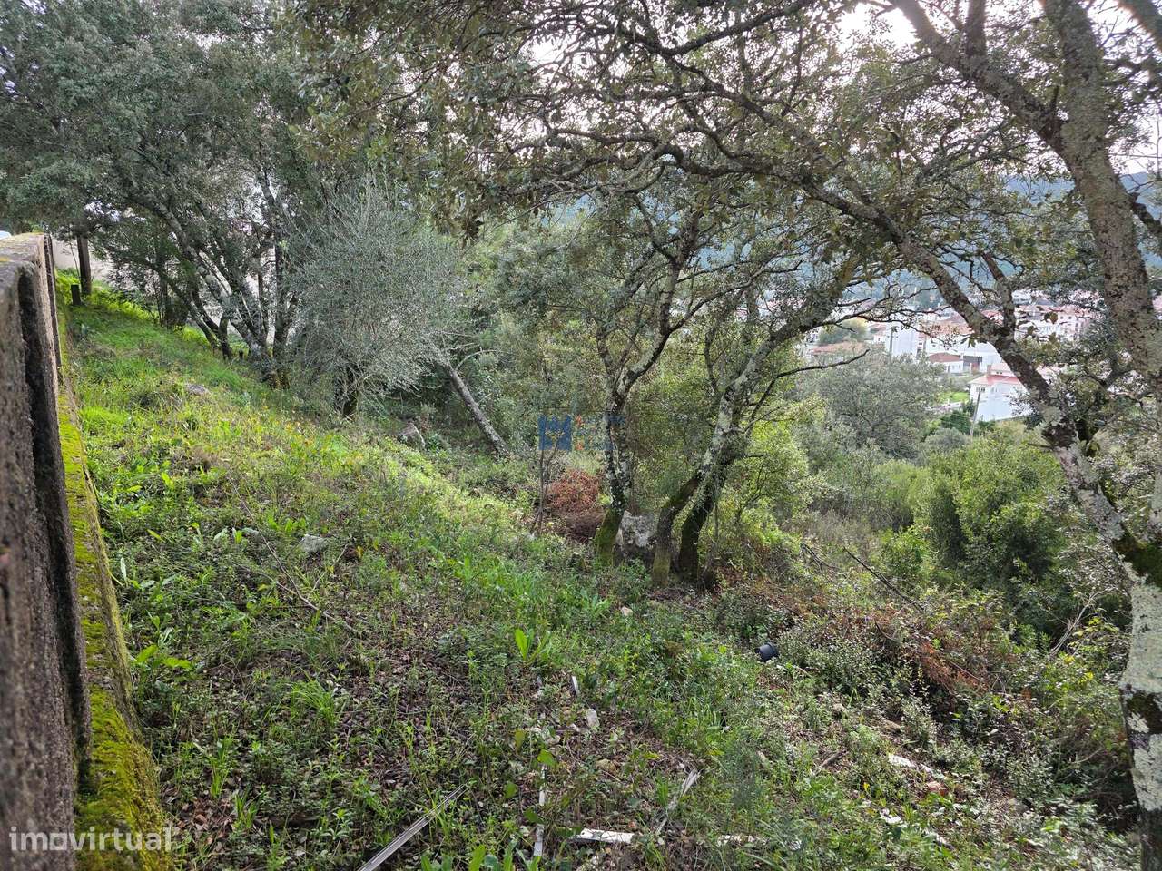 Lotes de terreno em Minde-25