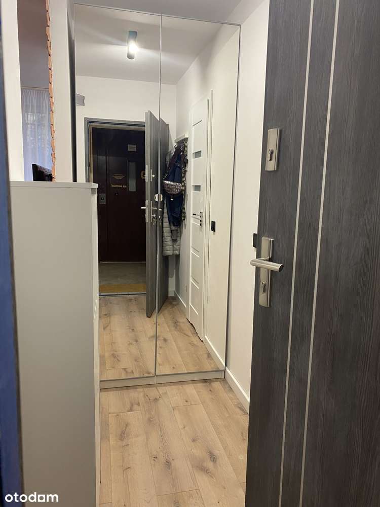 Komfortowa kawalerka przy ul. Powstańców Śląskich - Pełny obrazek: 5/5