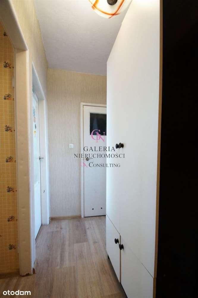 Kochanowskiego/Słowackiego, blisko Umk-13