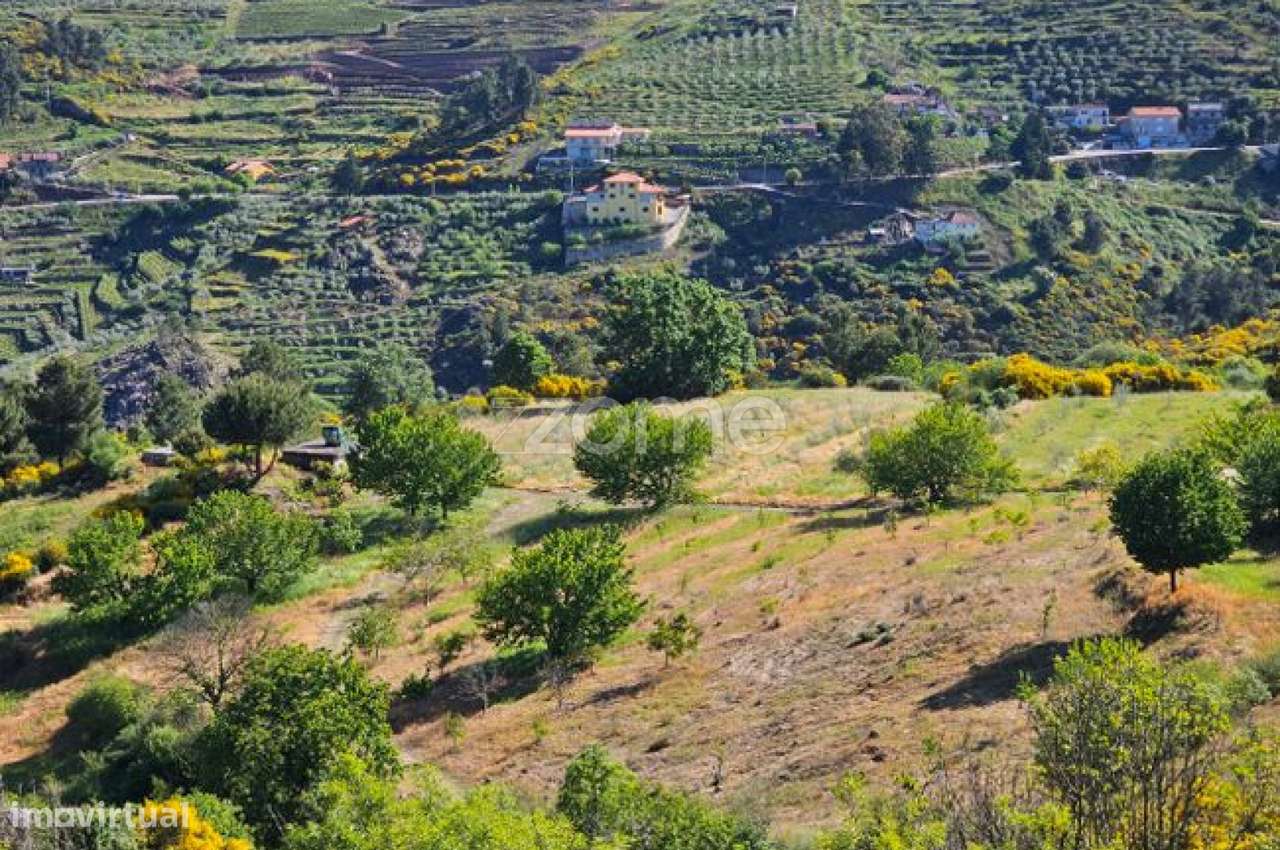 Terreno com 6 hectares - Grande imagem: 4/22