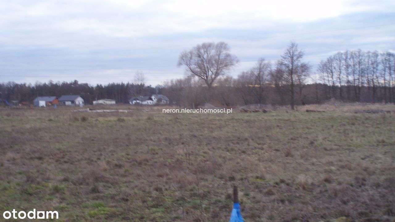 Działka, 2 569 m², Kruszyn Krajeński-0