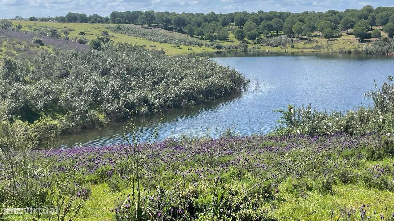 Terreno na Margem Alqueva-10