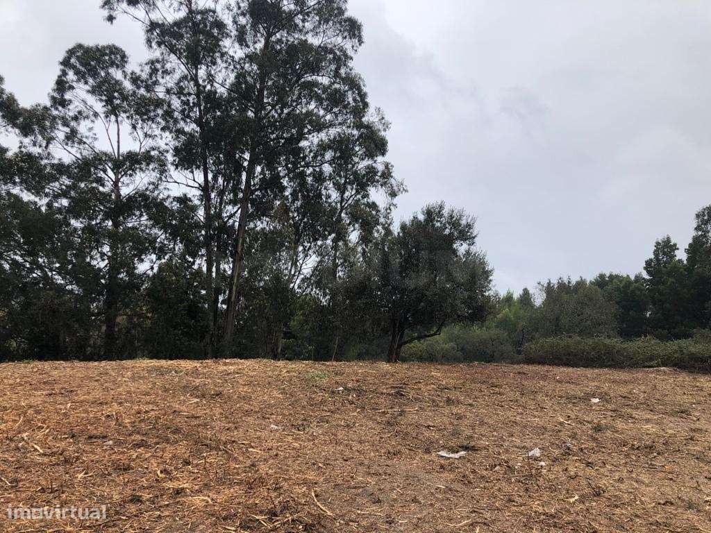 Terreno para construção em Valongo - Grande imagem: 5/18