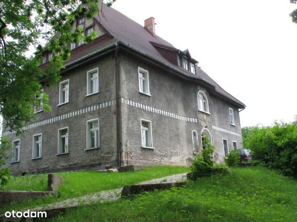 Chełmsko Śląskie, lokale w zabytkowej kamienicy