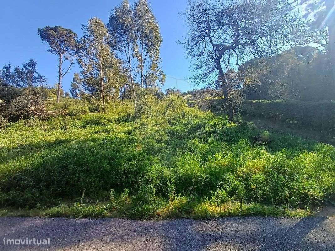 Terreno  para venda - Grande imagem: 2/19