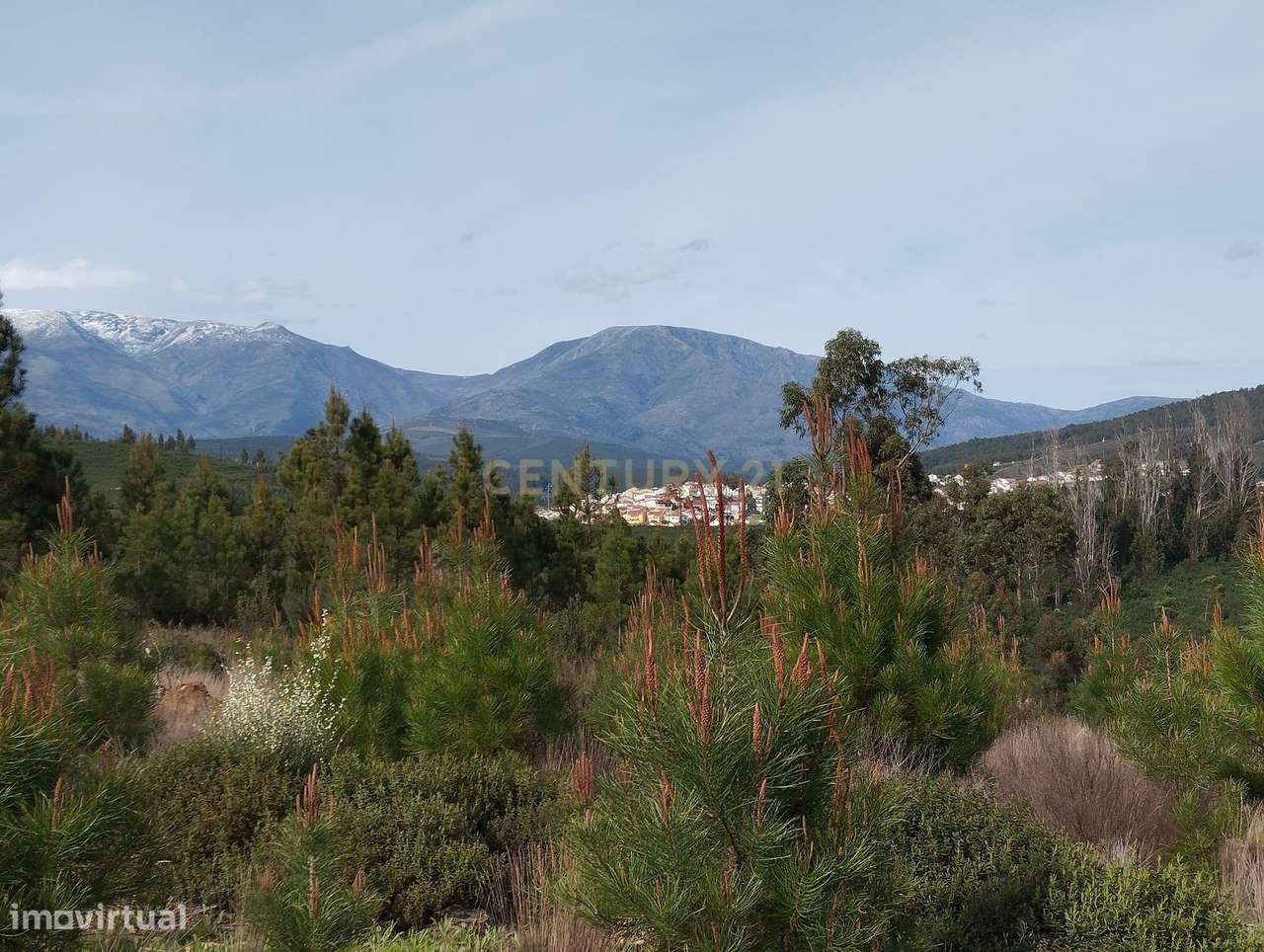 Terreno Rústico 14 000 m² em Paul - Grande imagem: 5/14