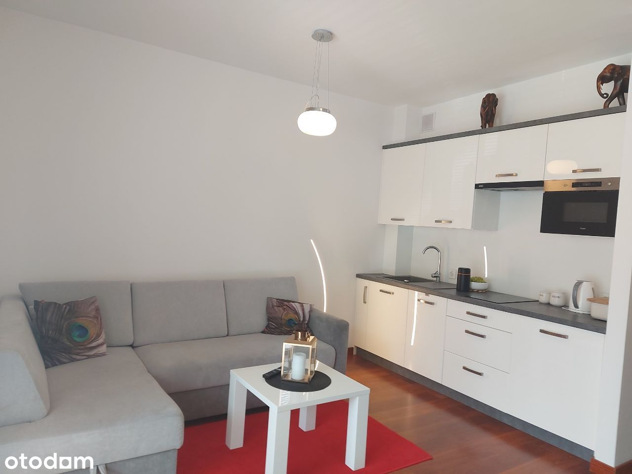 Apartament typu studio