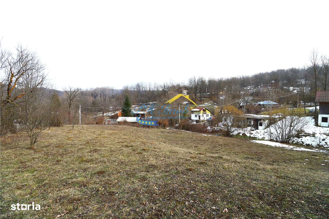 Teren Intravilan de vanzare, Provita de Sus-0