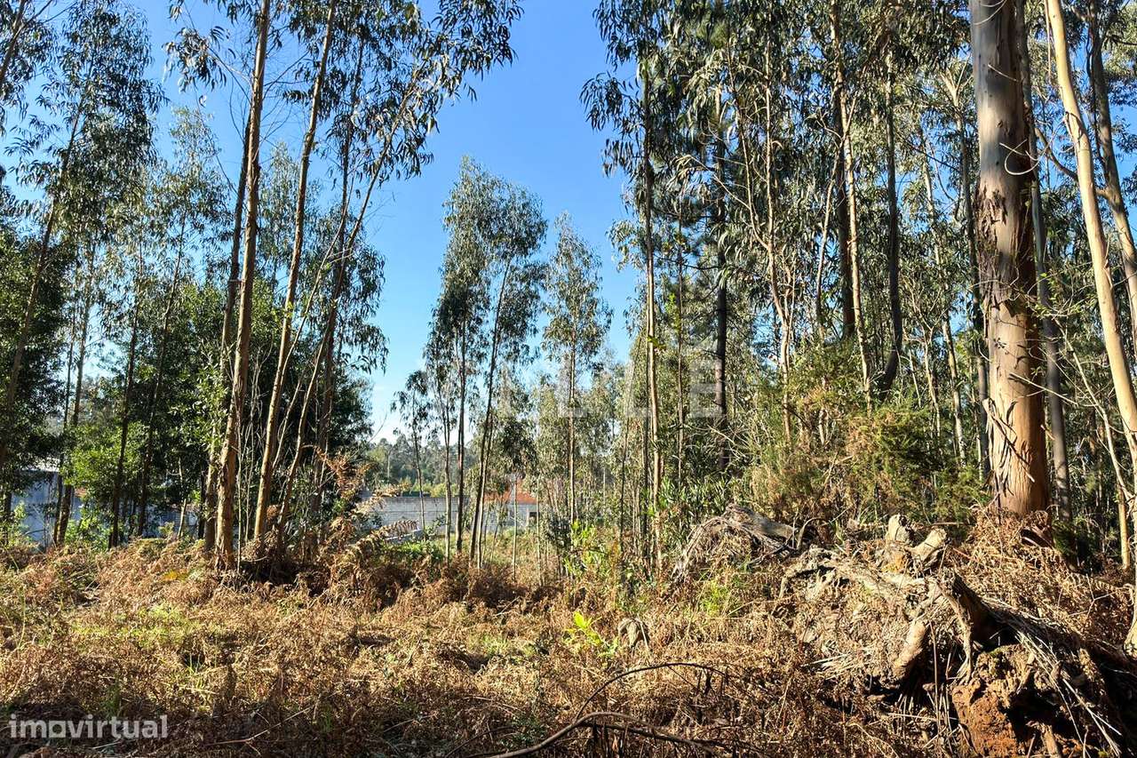 Terreno  Rústico com 1470m2 na zona de Anta Espinho - Grande imagem: 5/10