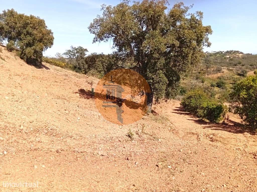 Terreno Rústico com Poço - Grande imagem: 4/10