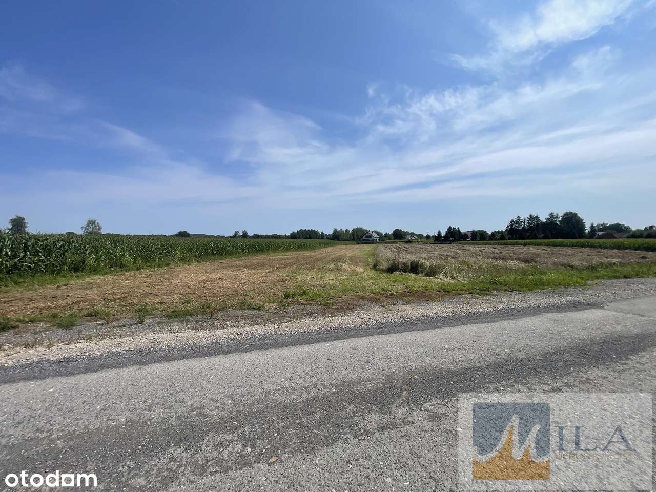 Dąbrowa Szlachecka działka budowlana 31 ar przy jeziorku - Pełny obrazek: 4/8