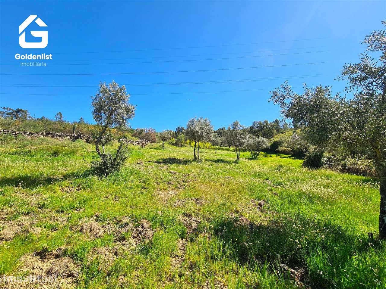 Terreno  Venda em Cebolais de Cima e Retaxo,Castelo Branco-8