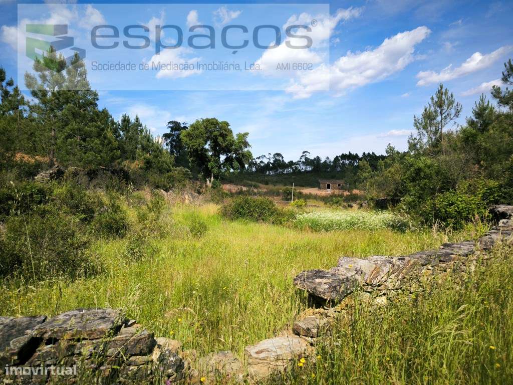 Quintinha 5 minutos de Castelo Branco - Grande imagem: 2/14