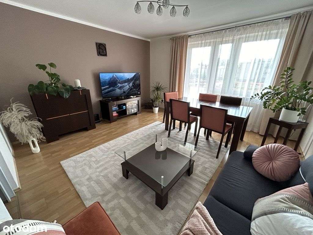 Słoneczne mieszkanie 2 pok., 50 m2, ul. Ramzesa - Pełny obrazek: 1/11