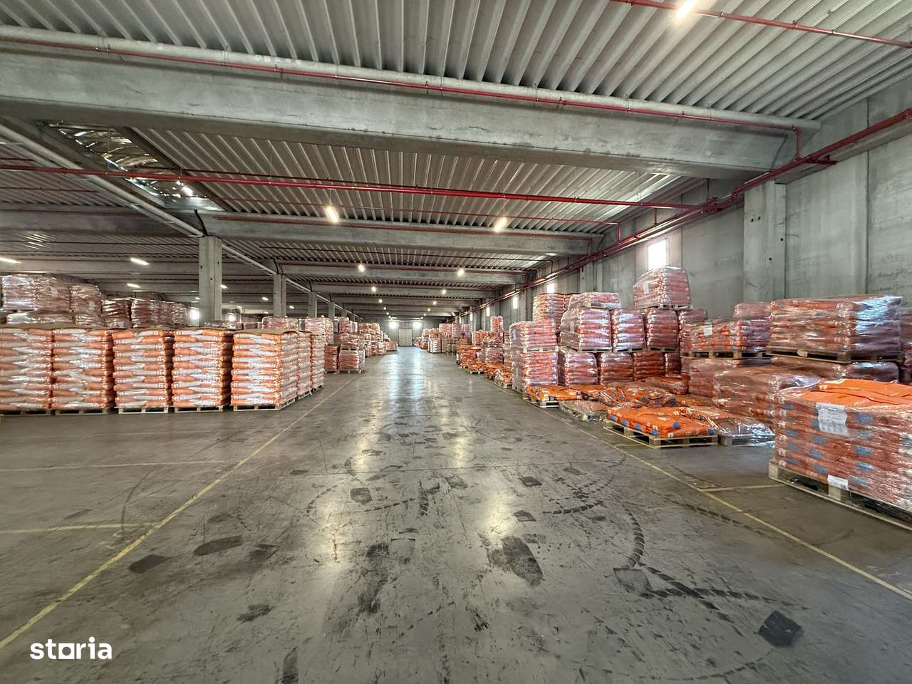Hală industrială clasa A 5000 mp, Chitila-Dragomirești, teren 8.000 mp-7