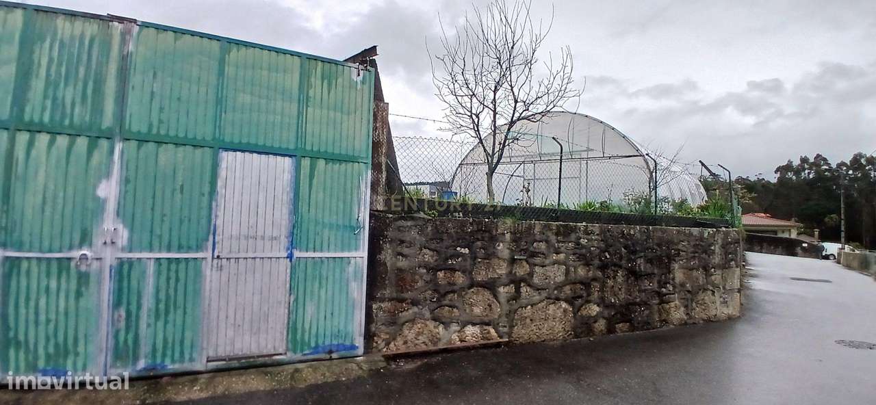 Terreno em Viatodos, Barcelos - Oportunidade Única! - Grande imagem: 5/13