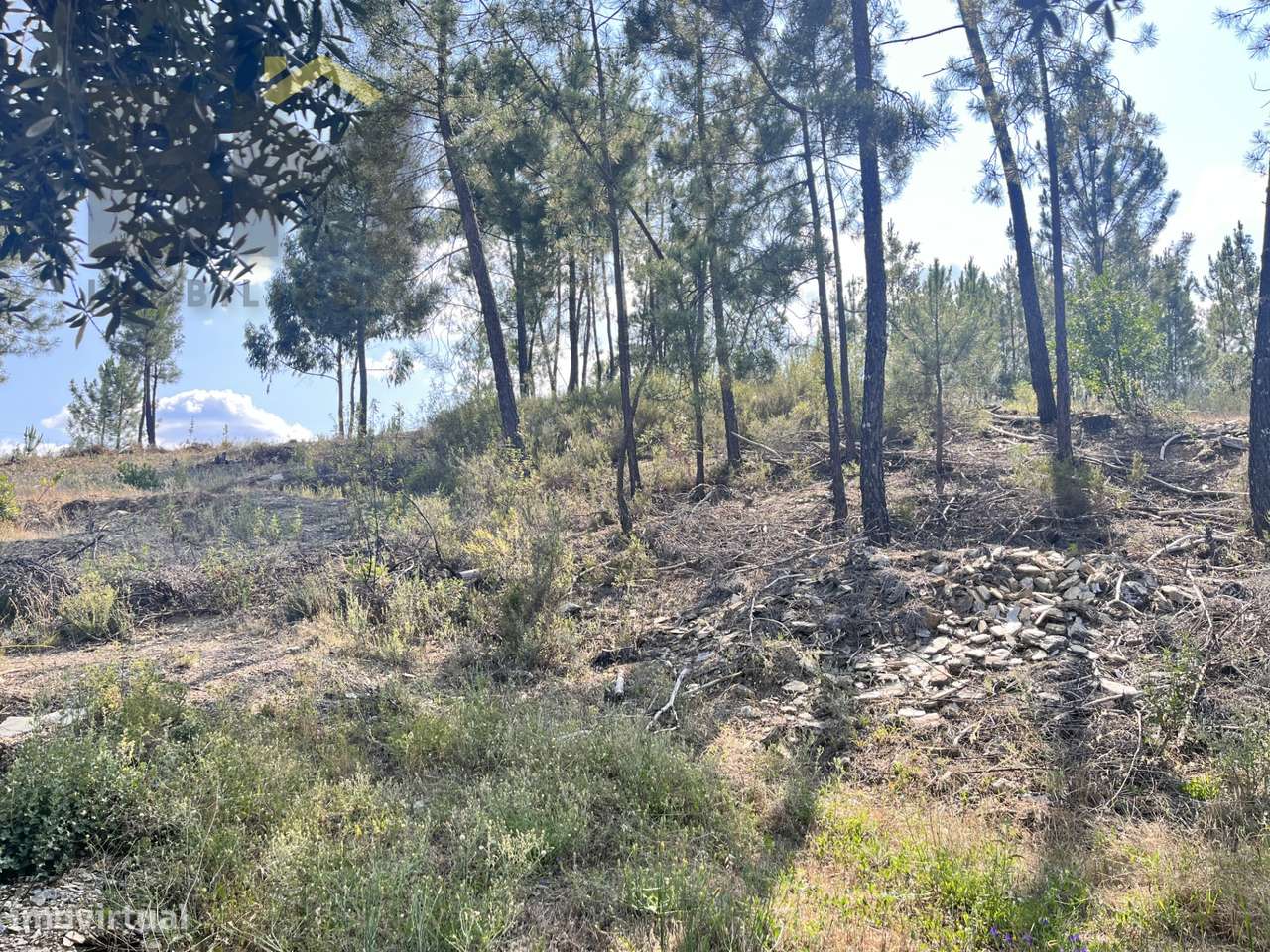 Moradia T3 Venda em Santo André das Tojeiras,Castelo Branco-33