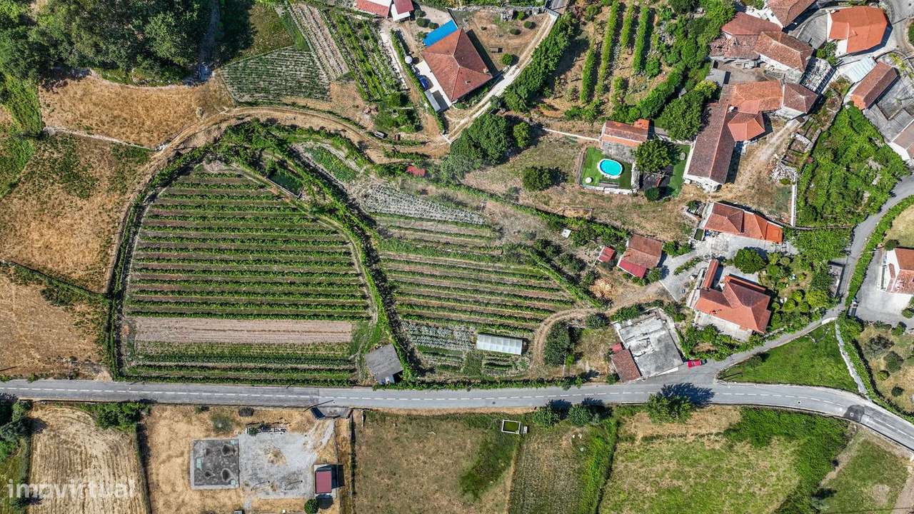 Quinta T4 para venda - Grande imagem: 4/50