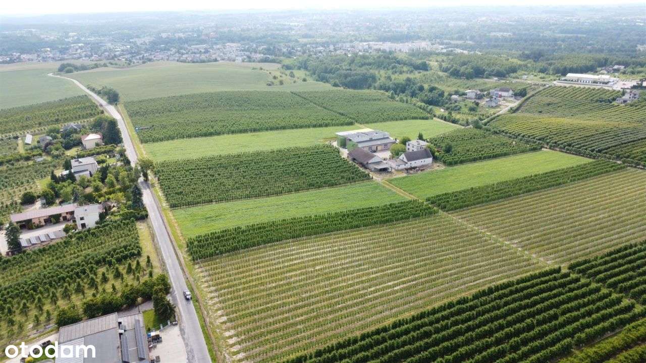 Duży teren z Mpzp pod zabudowę wielorodzinną! - Pełny obrazek: 4/5