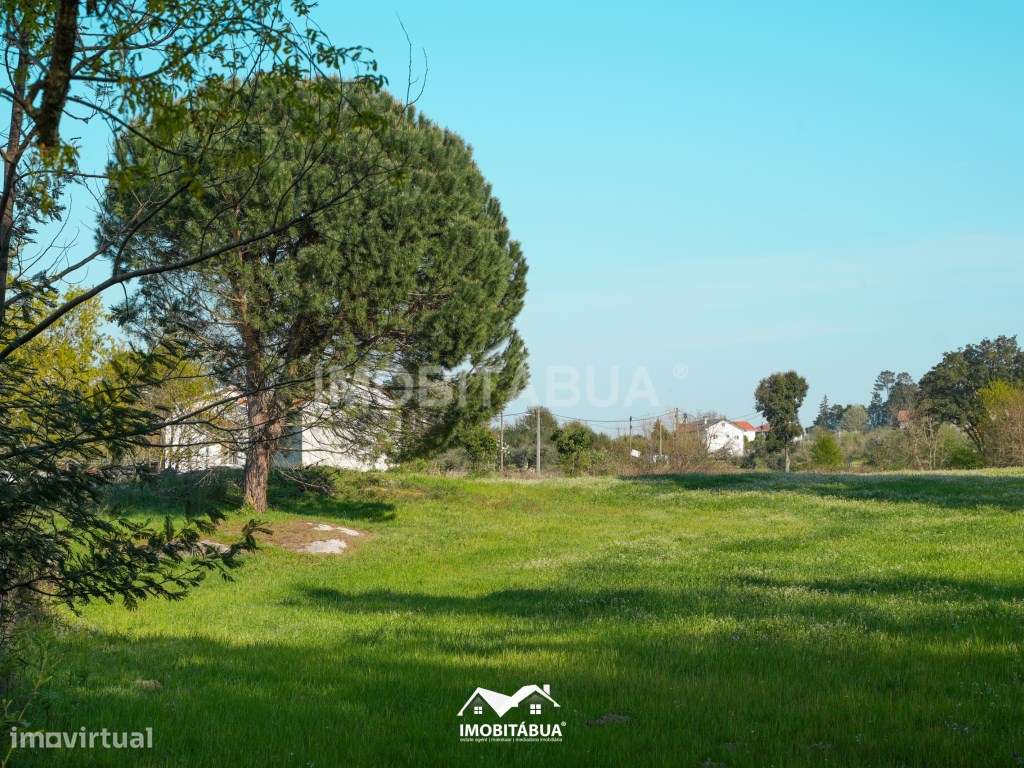 Terreno agrícola com barracão em Candosa - Grande imagem: 2/15