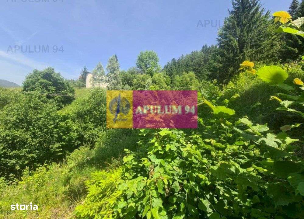 Teren de vânzare în Bușteni - Zona Zamora - Imagine principală: 2/20