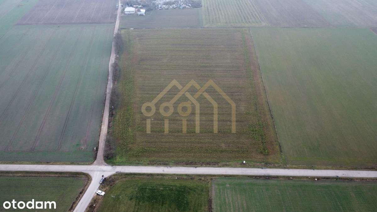 Działka 3,41 ha Zatory Mazowieckie Inwestycja - Pełny obrazek: 4/9