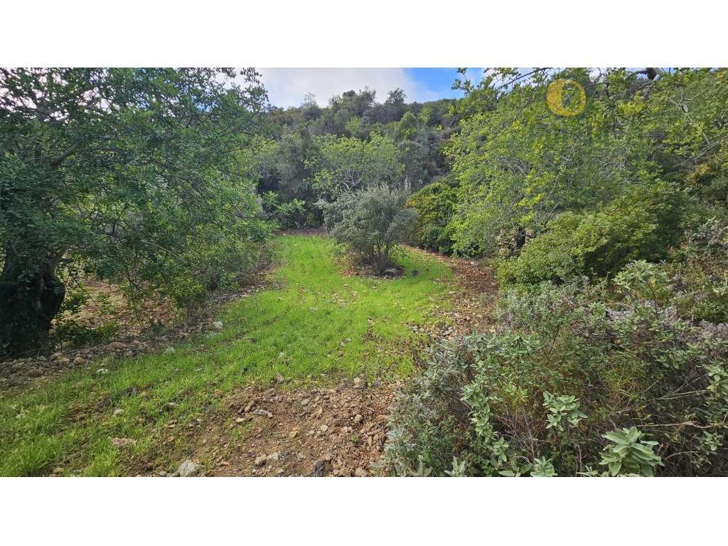 Terreno Rústico em Estoi com Poço-13