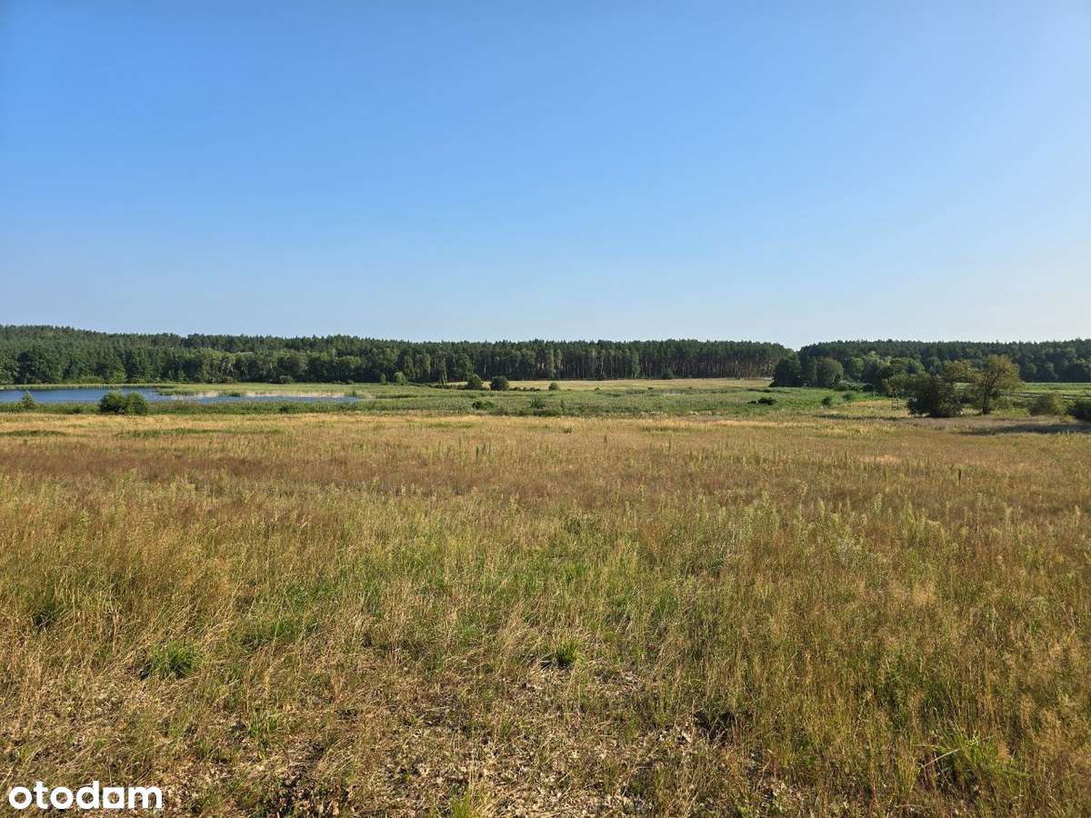 Uzbrojone działki budowlane przy stawach i łąkach, okazja!!!-3