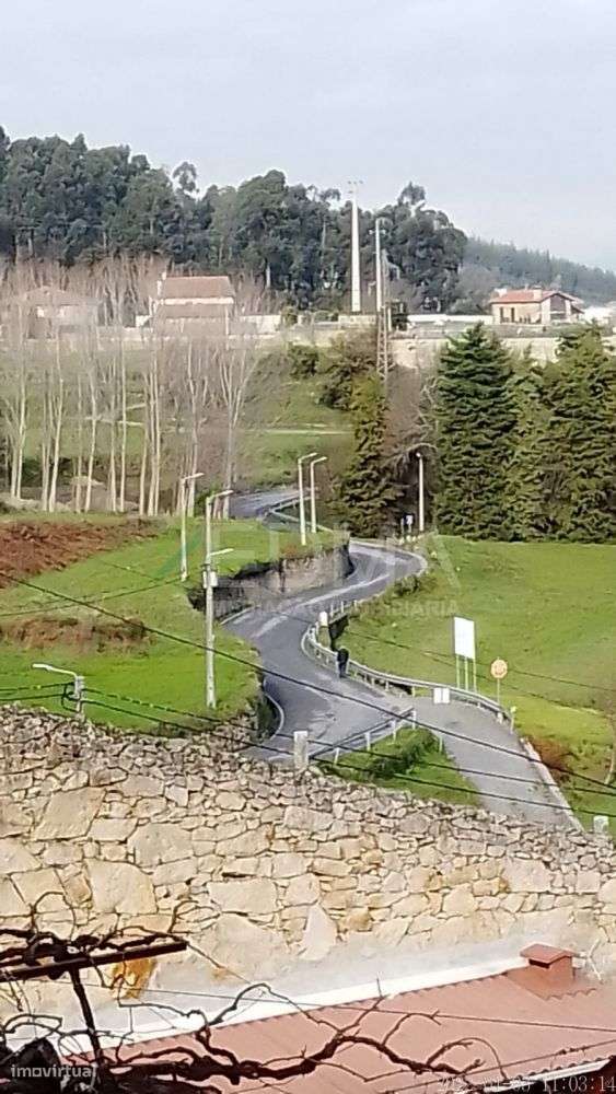 Quinta T5 - Grande imagem: 4/14