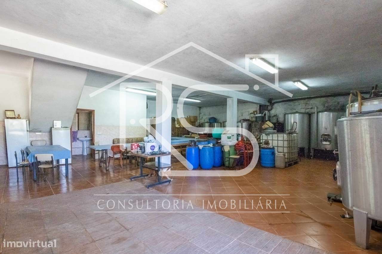 Quinta T6 | Selho São Jorge, Guimarães-28