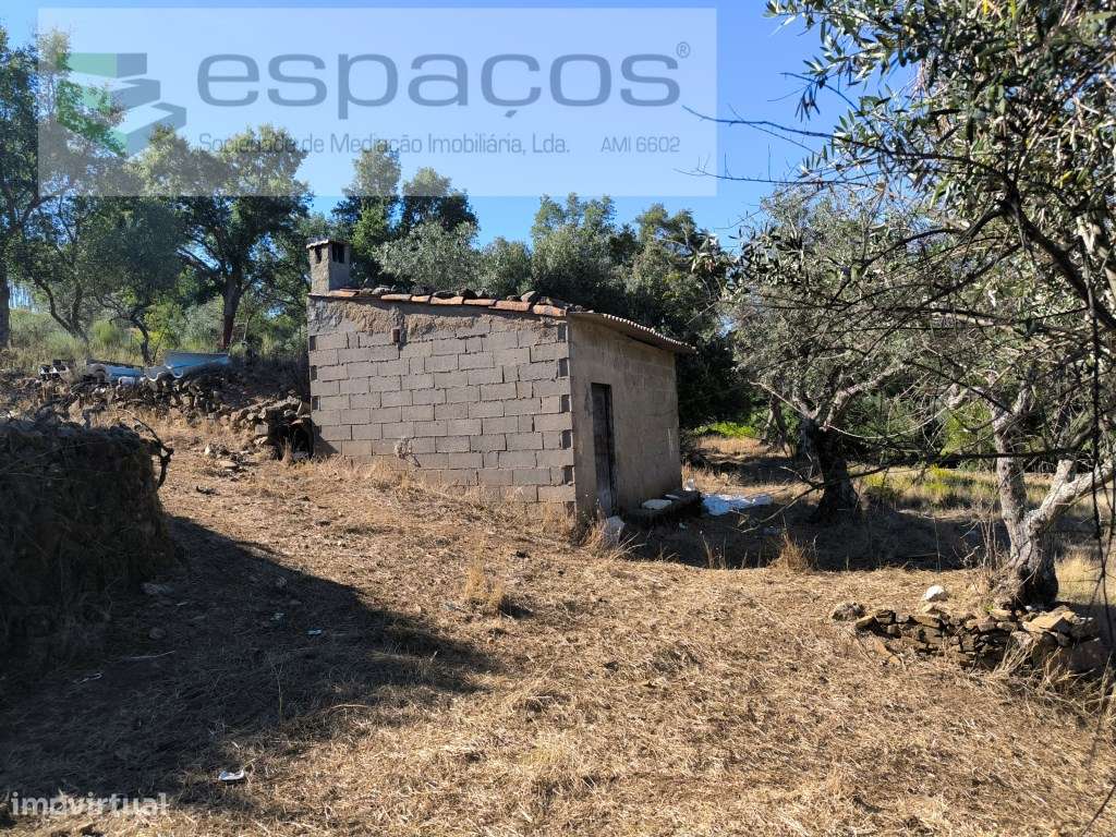 Quinta do Valouro - Sobral do Campo - Grande imagem: 2/10