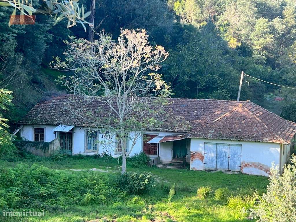 Lagar em Coimbra - Torres do Mondego (Coimbra) Portugal-6