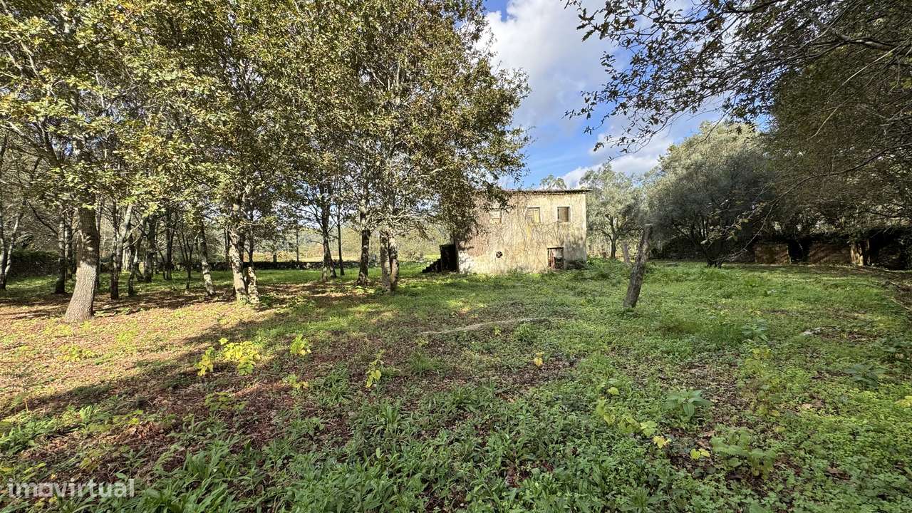 Ruína por renovar - 9700m2 - vedada em pedra - Vila Cova-5