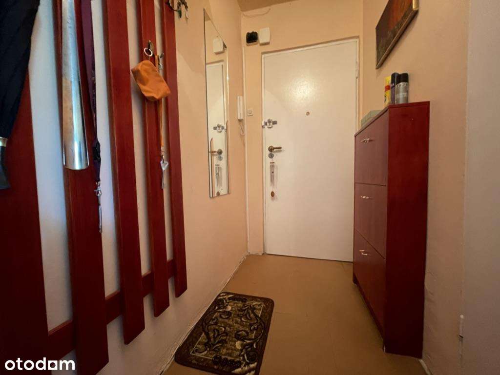 Komandorska! Kawalerka z mediami miejskimi! Okolice UE i centrum! - Pełny obrazek: 5/6