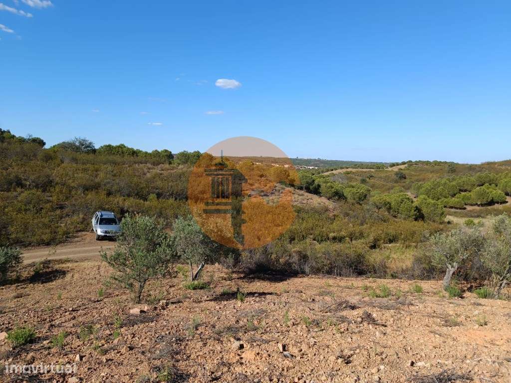 TERRENO RÚSTICO COM 5.560 M2 - COM ÁRVORES - ALCARIAS GRANDES - CAS... - Grande imagem: 4/40